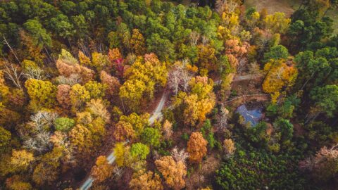 aerial view of fall forest, road and water near Chapel HIll