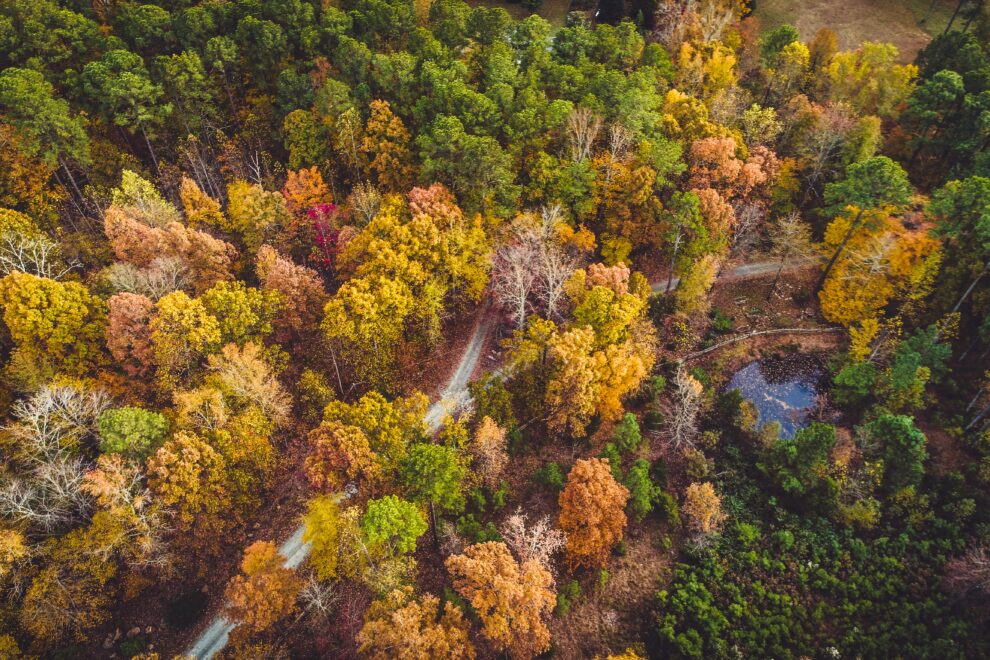 aerial view of fall forest, road and water near Chapel HIll