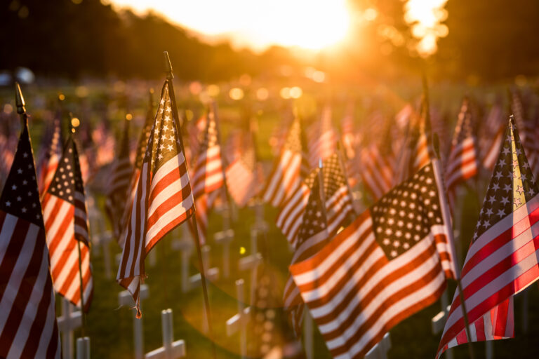 Field of American flags at sunset to honor memorial day